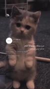 مارو مشکلات سورپرایز میکنه:///