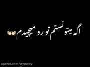 اهنگ غمگین حامیم رز سفید من...🤍