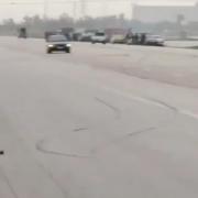 میگه ماکه خار بودیم🌵😁 گل ها به فدایش🥀 بچه ندار بودیم🥲دارا به فدایش