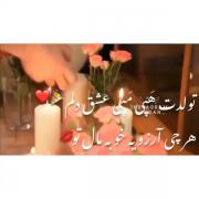 کلیپ تولد هپی مپی تولدت مبارک شاد♡