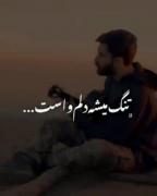 دلم تنگ میشه واست دم صبح من خل