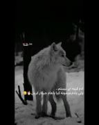 ولی یادمیمونه ❤️‍🩹🥀.......!/