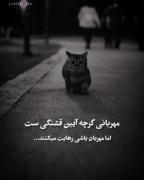 مهربان باشی رهایت می‌کنند...‌‌‌‌‌‌