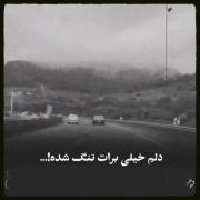 دلم خیلی برات تنگ شده !‌‌‌‌‌‌‌‌‌