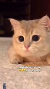 دلم ضعف رف که👩🏻‍🦯‌‌‌‌‌‌‌‌‌‌‌‌‌