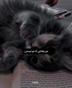 وقتی تو نیستی..!‌‌‌‌‌‌‌‌‌‌‌‌‌‌‌‌‌