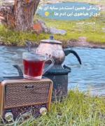 در کویر ترین شرایط،جوانه بزن و رو به آسمان قد بکش . . 🌱