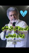 من لقمه سنگها با دندان خورده ام 