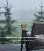 چیزی در گوش قاصدک ها گفته ام: از آرزو فراتر...