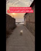 ولی‌نشد‌؛از‌شنبه‌ایشالا🫠😂‌‌‌