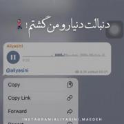 دن‍‌ب‍‌ال‍‌ت دن‍‌یارو م‍‌ن گ‍‌ش‍‌ت‍‌م (