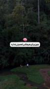 من از همـه خوردم ولی به همـه گفتم زدم . تو ام بگـو زده :) ️