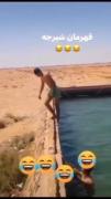 قهرمان شیرجه 🤣🤣🤣الحق قهرمانه