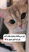 وقتی من واقعا می خام بغالت کنم اما ازم دوری🥲🥺🚶🏼‍♀️