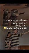 دقیقاً چه گوهی می خوریم؟!😂🚶🏼‍♀️