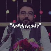 در آمدی عاشقانه هایم مرد......