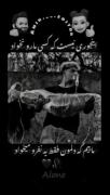 اینجوری نیس ک کسی مارو نخاد ماییم ک فقط دلمون یه نفر و میخاد😉🤙