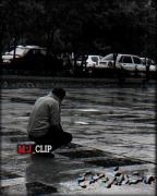 توهم اهل سلام بودی . اهل خداحافظی نبودی .... با وفا