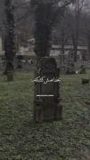 بخدا همش کشکه................)