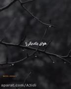 تا زنده اید قدر هم دیگر را بدانید 