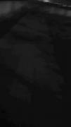 انسانِ کم، آرامشِ زیاد.🕸🐈‍⬛️🪨