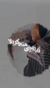 ته رویای منه کربلا:)علت اشکای منه کربلا