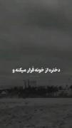 از قضا روزی اگر حاکم این شهر شوم... دوس داشتی لایک کن