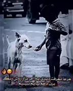 بدون مناسبت #مخاطببببببب_دارد. 
