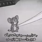 به جایی رسیدم که هیچی برام مهم نیس🔗