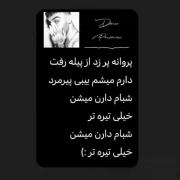 پروانه پر زد ....‌‌‌‌‌‌‌‌‌‌‌‌‌‌