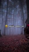 یه بت ازت ساختم تو این قلبم ❤️