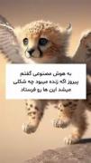 اگر پیروز یوز پلنگ ایرانی زنده بود.... 