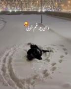  اگه ممنوع هم باشی،مال منی♥️ گناه هم باشی، مال منی🤍 ️ 