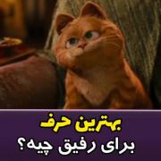 قدر یدون از رفیق هارو بدونین به صدتا از دوستا نفروشینش ┗(•ˇ_ˇ•)―→ 