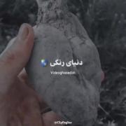قلب سیاه . رگای سنگی...........