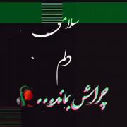 سلامتی دل 🥀🥲.................