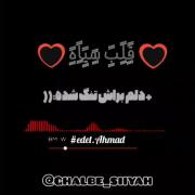 حاجی چرا نمیفهمین من دلم براش تنگ شده a#