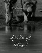 خیلی جا میتونستم ولی دلم نیومد نزار پایه زرنگیت