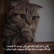 گریه کردن قدرتی میخواد که هر کسی نداره!(: