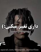 ...............................