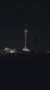 دلـم تـنـگ شـده واسـه بـام تـهـران