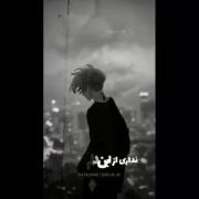 نداری از این حالم خبر ای جان دلبر ....