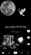 ئه م شوانـــــه هه ر خه مم..:))))) 