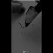 آره اصلا دوسش دارم که چی مثلا؟ :) 