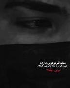 مــــرگ_تـــنــهـــایـــی-قـــبـــر