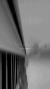#بـارونـ‌ اومـدُ یـادمـ داد ...🌧️ 