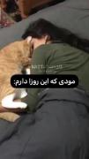 🖤‌‌‌‌‌‌‌‌‌‌‌‌‌‌‌‌‌‌‌‌🌚me mood 