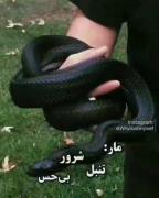شما کدومید ؟ تو کامنتا بگین ...