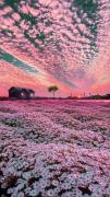 آرامش در طبیعتی قشنگ و زیبا 💫💫💫