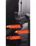 غمگیننن برای همه اعضای لاادادلدذ